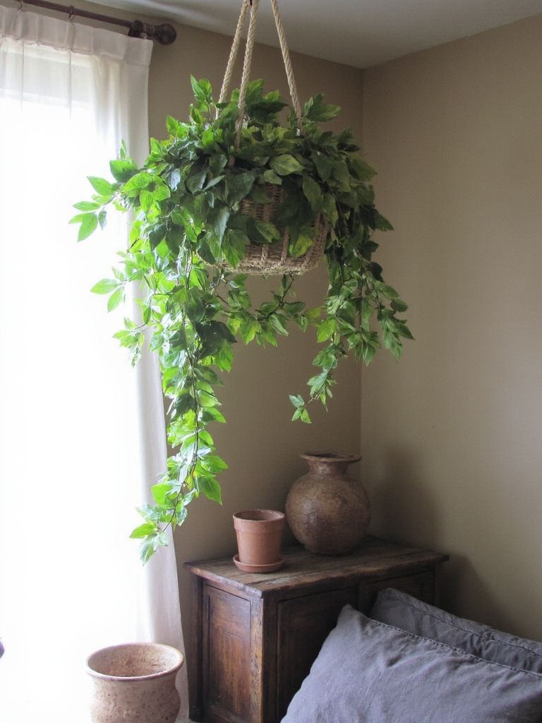 plante d'intérieur purificatrice d'air résiliente