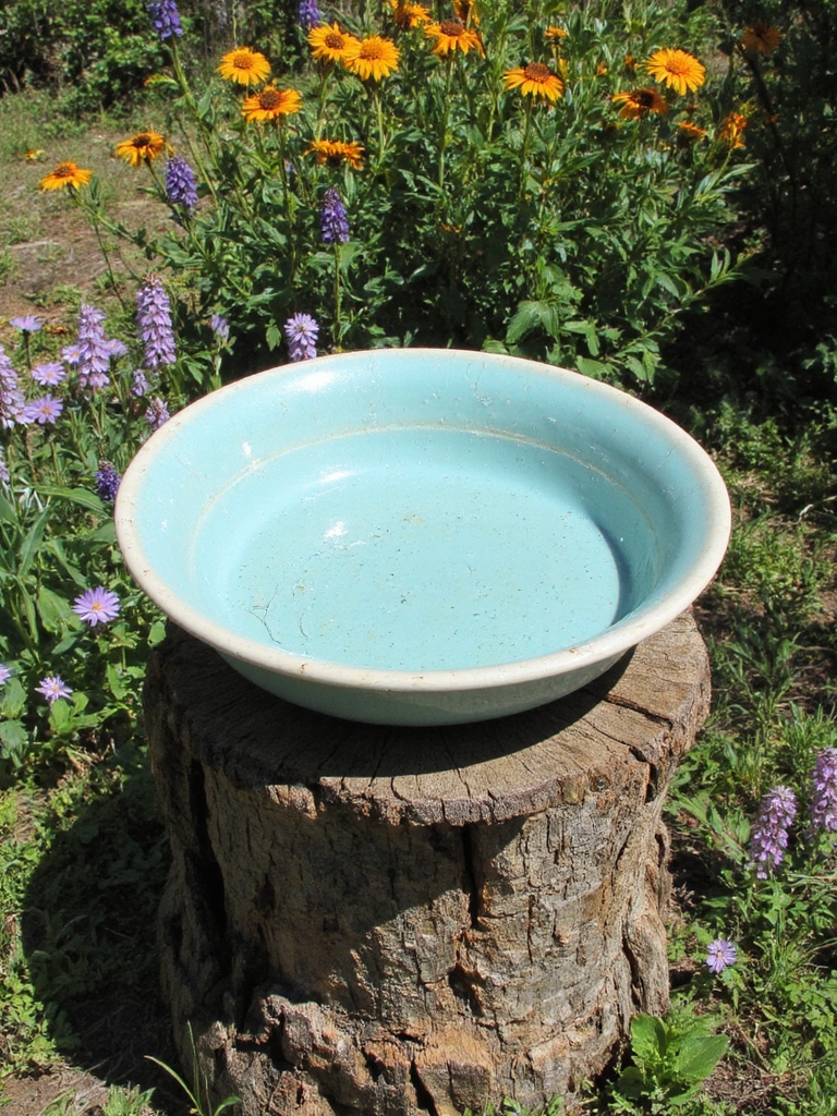 projet de bain d'oiseaux en bol en céramique