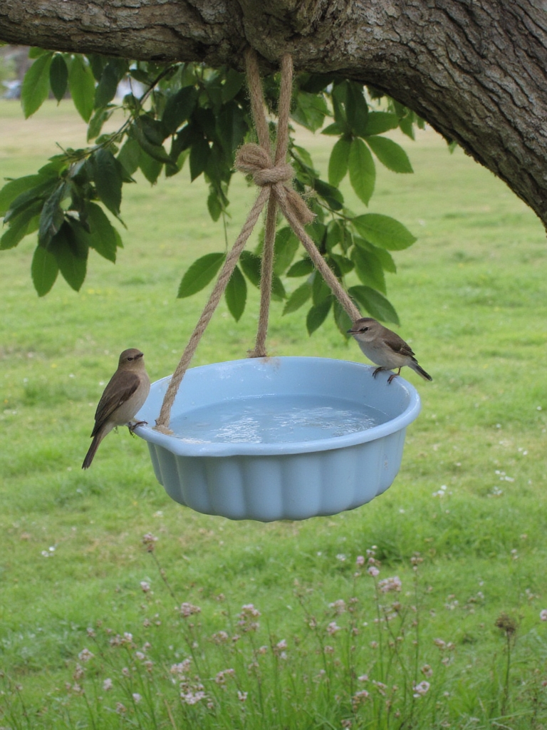bain d'oiseaux DIY à partir d'un moule à bundt
