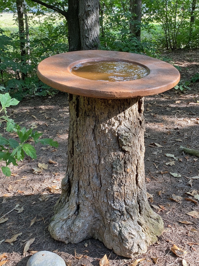 bain d'oiseaux rustique en rondin de bois