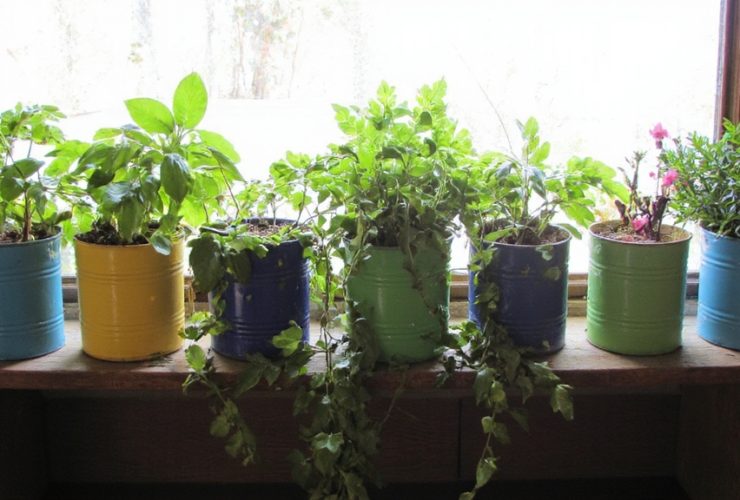 idées de jardinières DIY