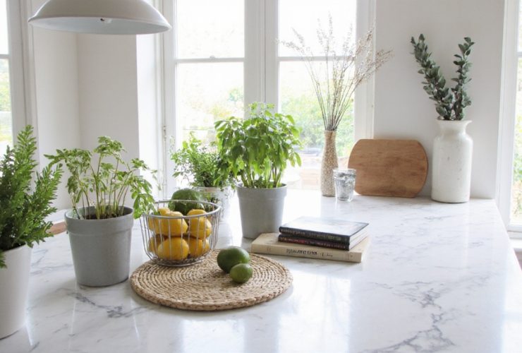 décor de comptoir de cuisine époustouflant