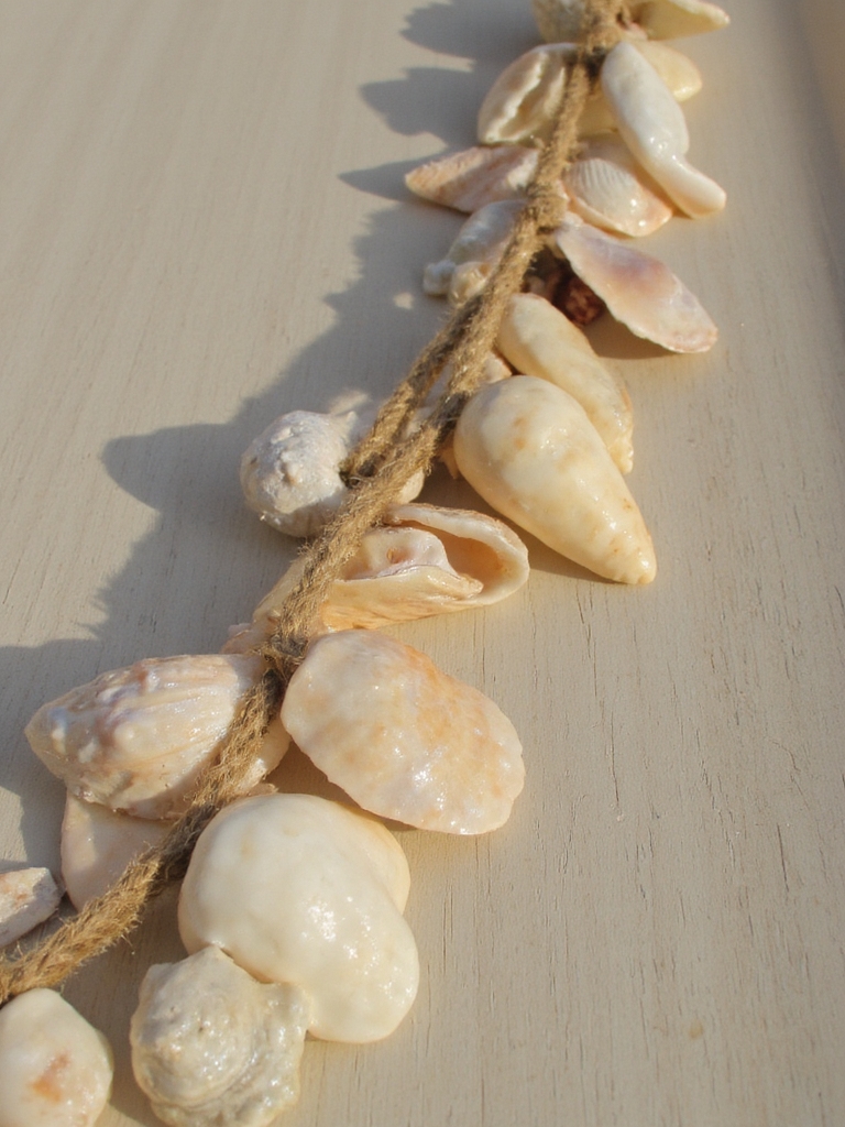 création de guirlande en coquillages de plage