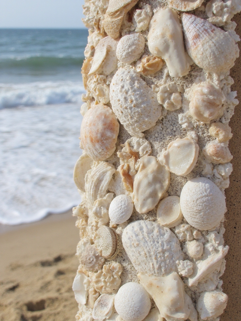 art mural de coquillages côtiers