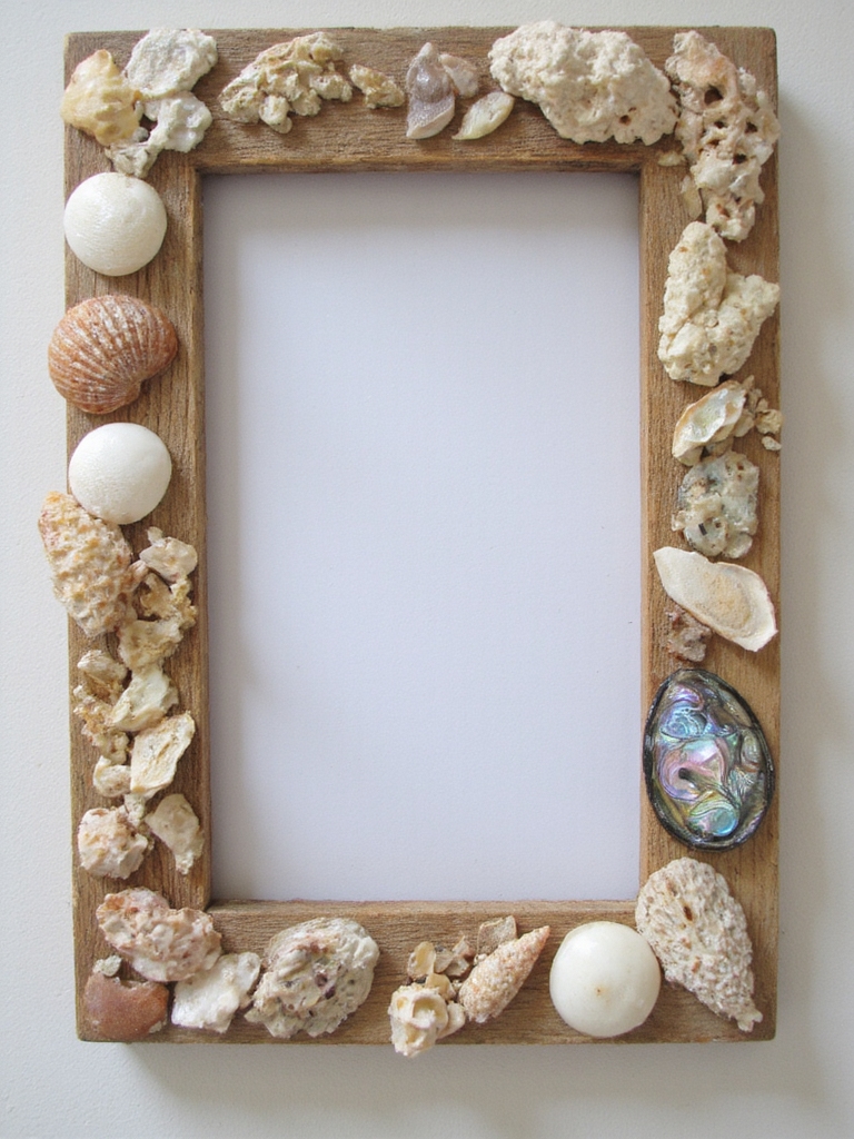 cadre photo coquillage côtier
