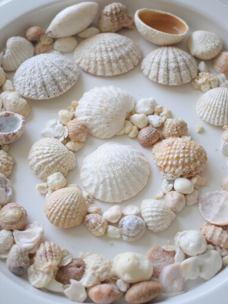 plat de service orné de coquillages