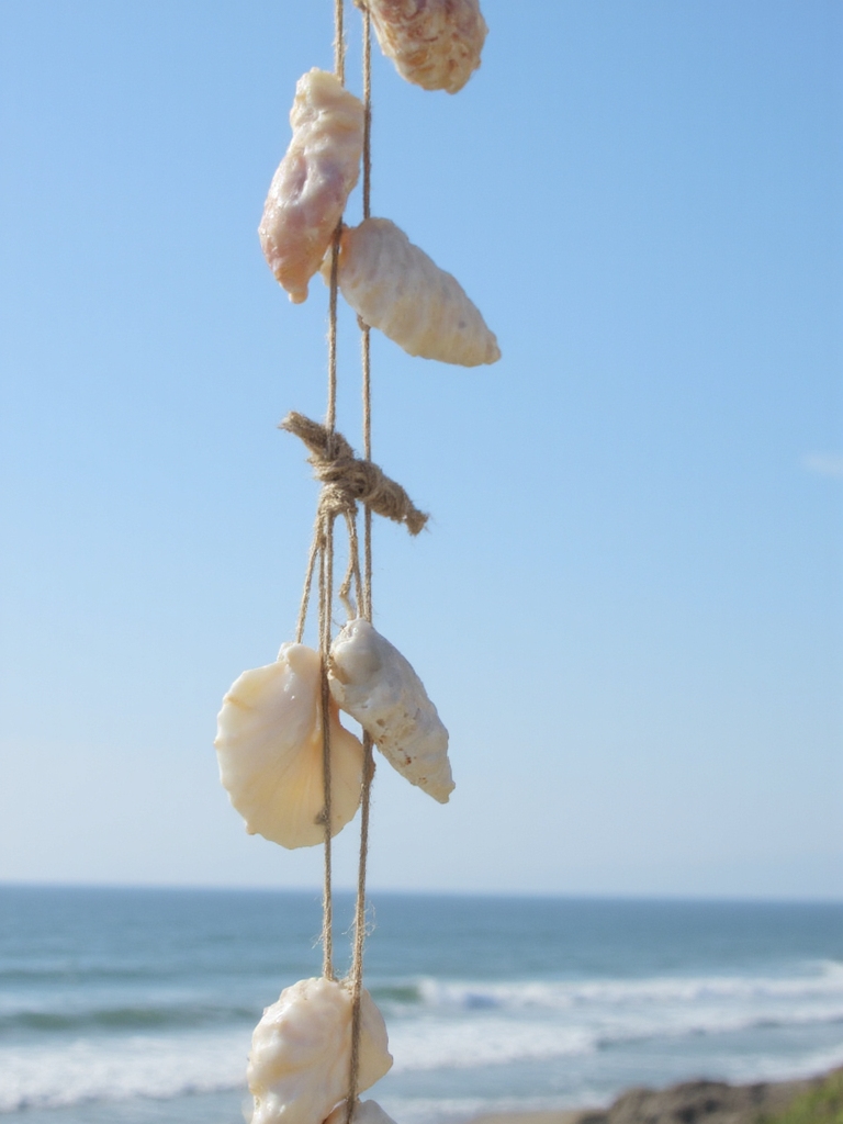 projet de carillon à vent en coquillage
