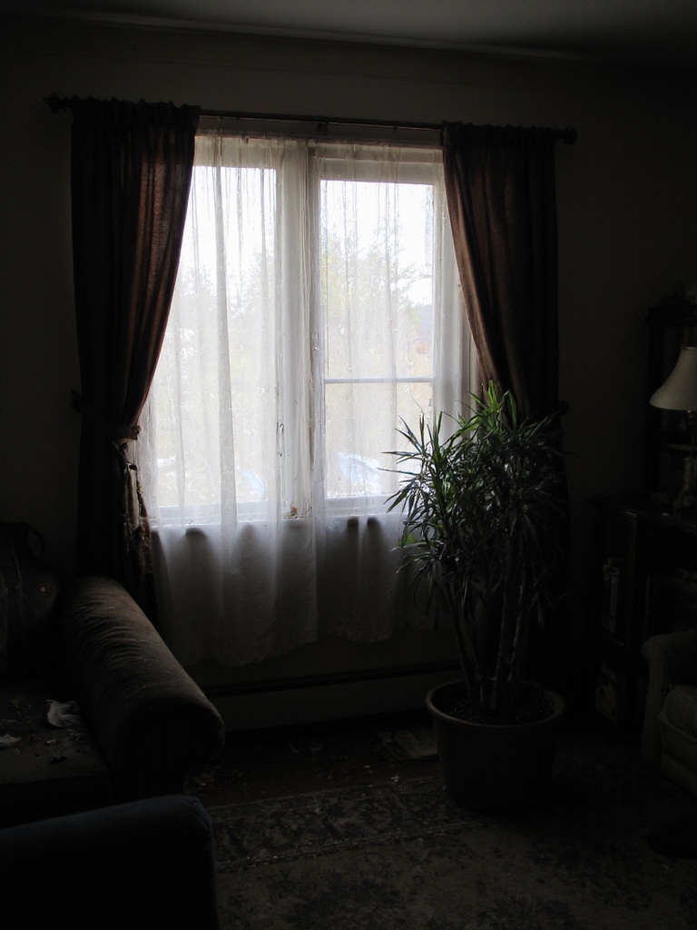 améliorer la qualité de l'air intérieur