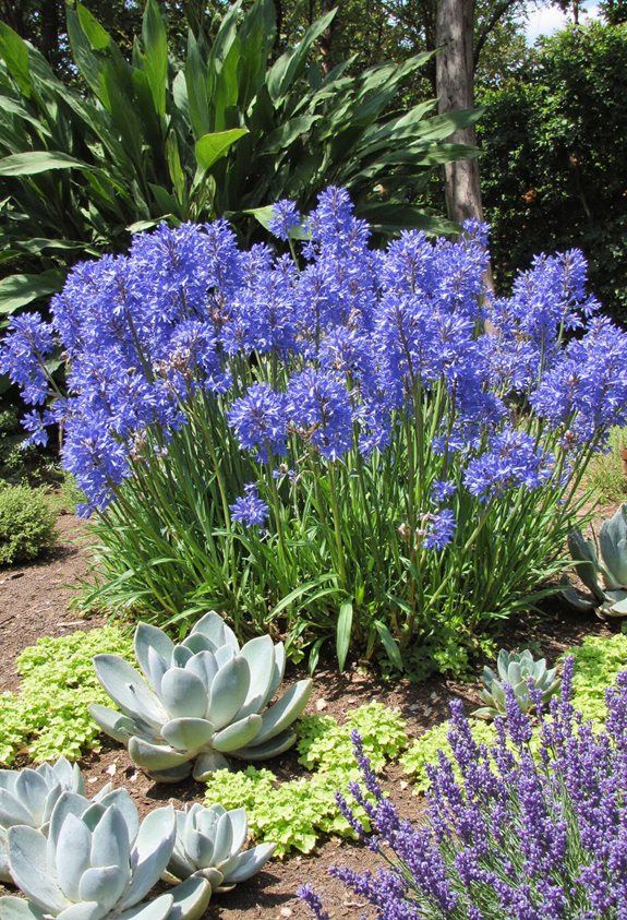 les fleurs bleues ajoutent du contraste