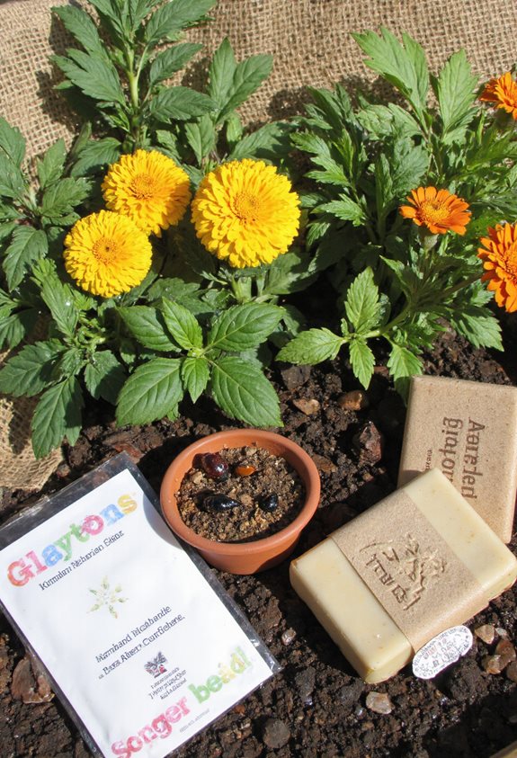 solutions de lutte antiparasitaire naturelles