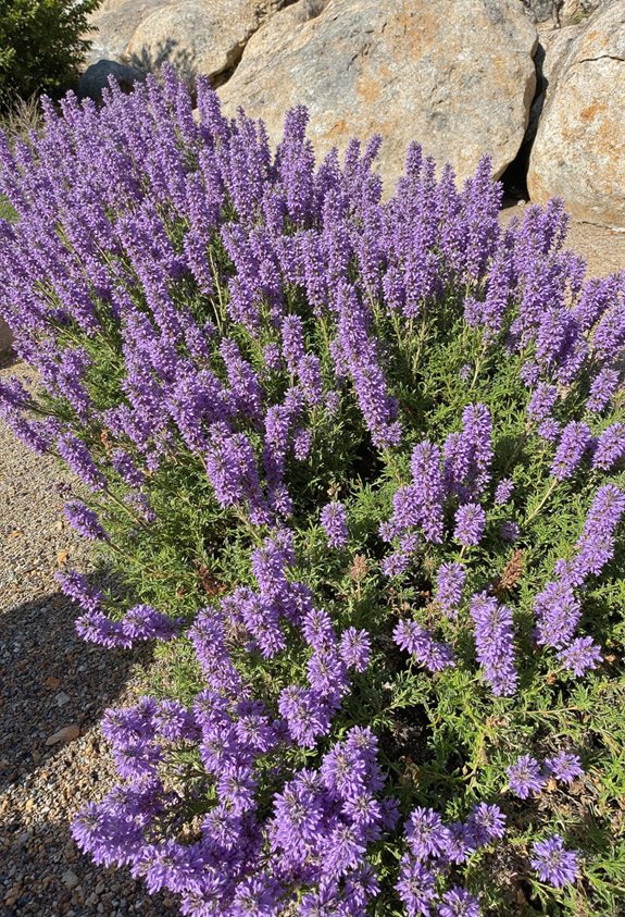 bordure florale vibrante et sans fin