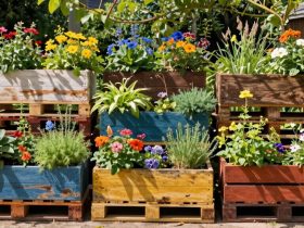 jardinières en palette DIY