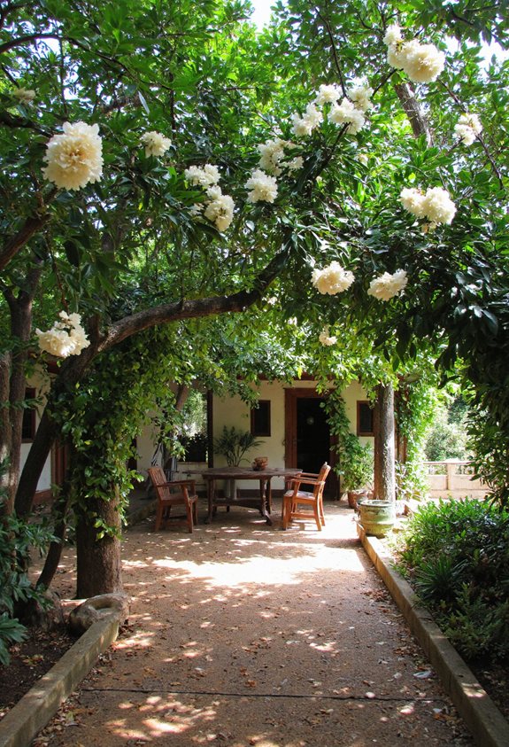 luxueux orange mexicain intimité