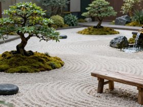idées de jardin zen extérieur