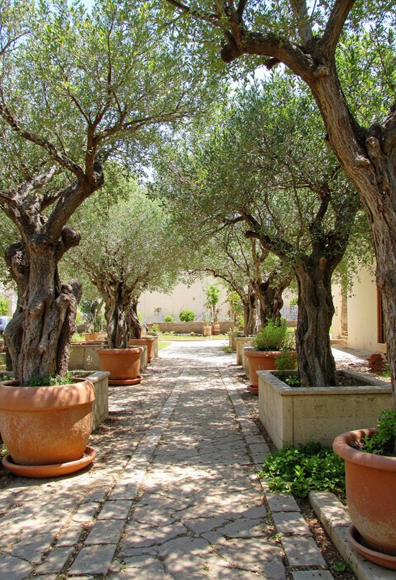 déco rustique en olive récupérée