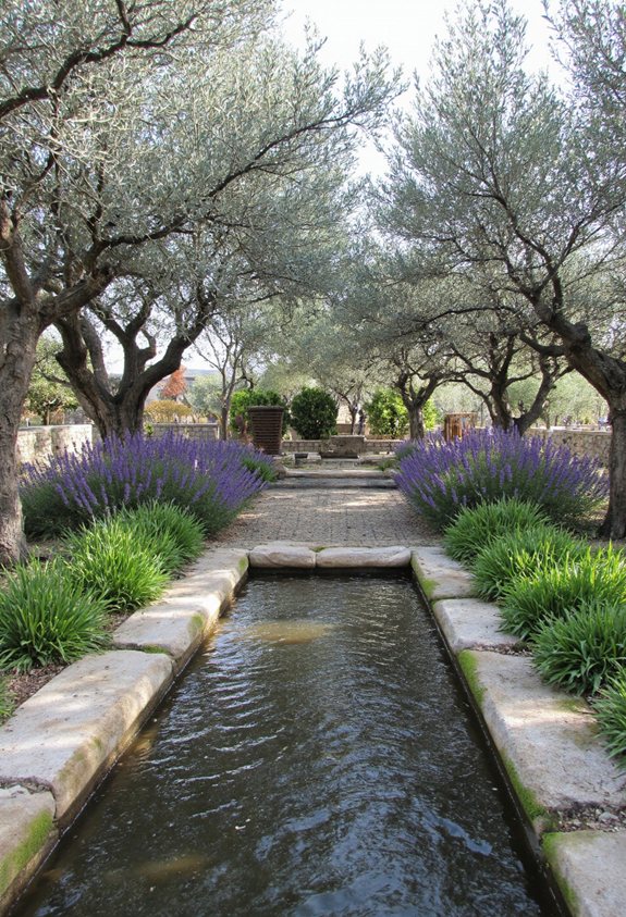 zen méditerranéen olivier oasis