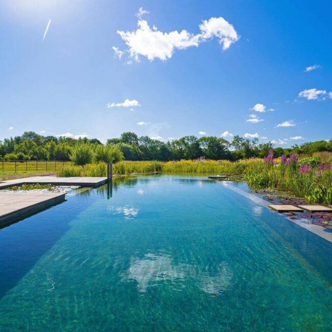 La piscine sur chemin de pierres — style zen japonais