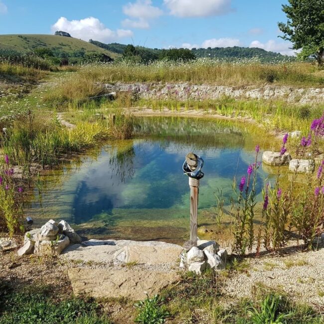 Le havre aquatique avec cadre vegetal luxuriant