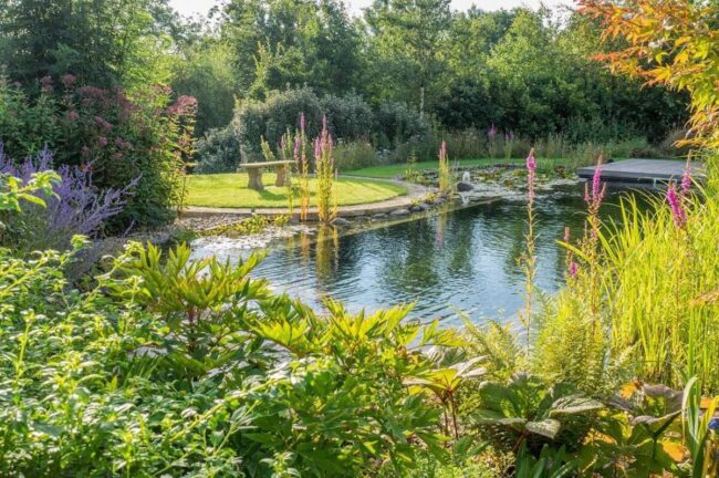 L'oasis verte avec zones de baignade et filtration separees