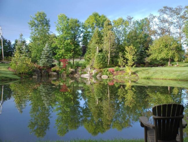 Le bassin de nage integre dans un ecosysteme complet
