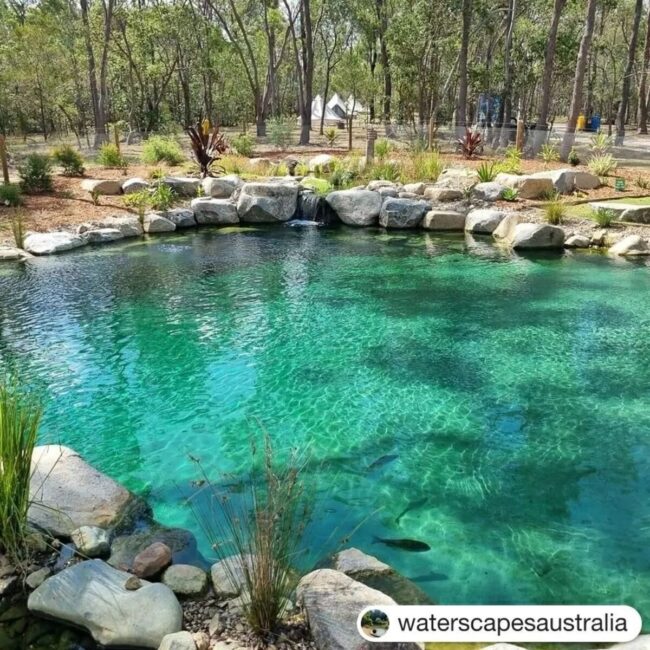 Le lagon aquatique encadre de pierres et de vegetation