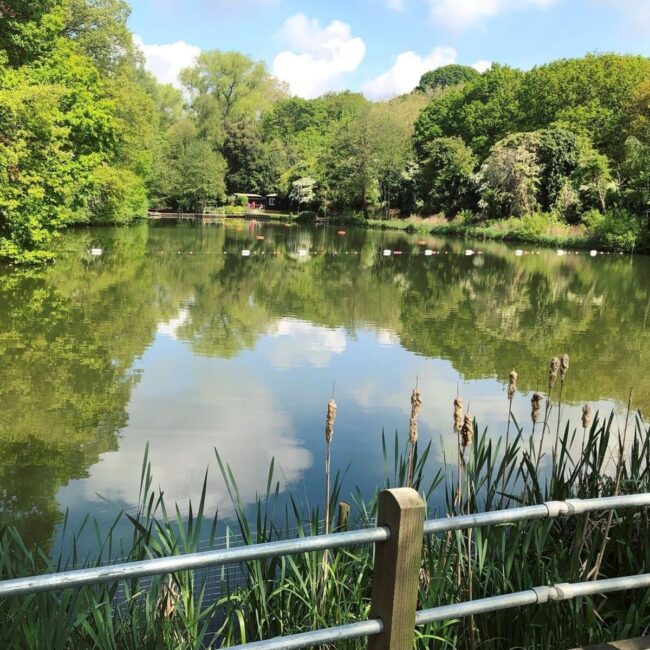 Le sanctuaire aquatique entre nature et espace de detente