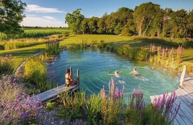 Le lac de baignade sauvage dans un jardin luxuriant