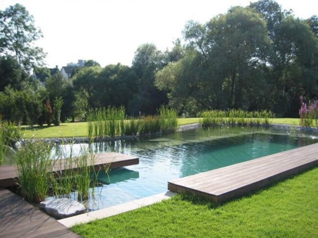 La piscine naturelle design avec bords modernes epures