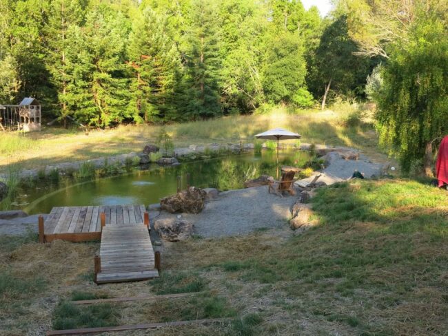 La piscine avec plage de galets et effet lac naturel