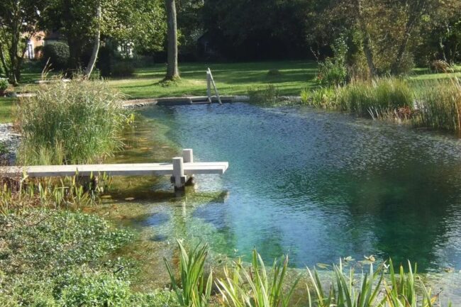 La piscine naturelle sur plateforme bois surelevee