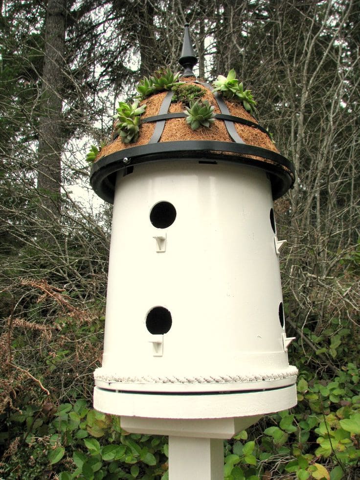 Tour de nichoirs en bois empiles avec succulentes sur le toit