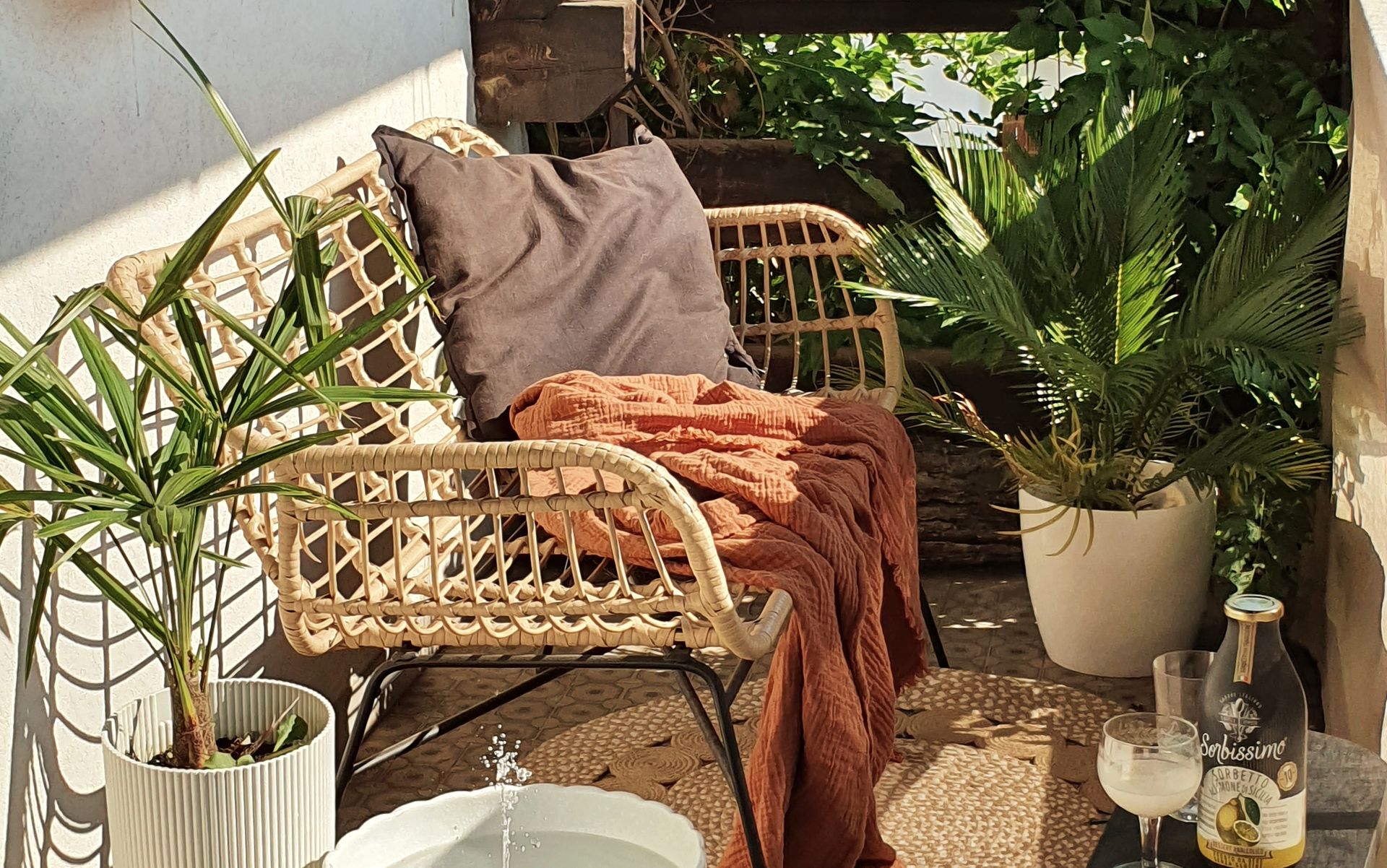 Multiplier les plantes en pots pour une jungle urbaine